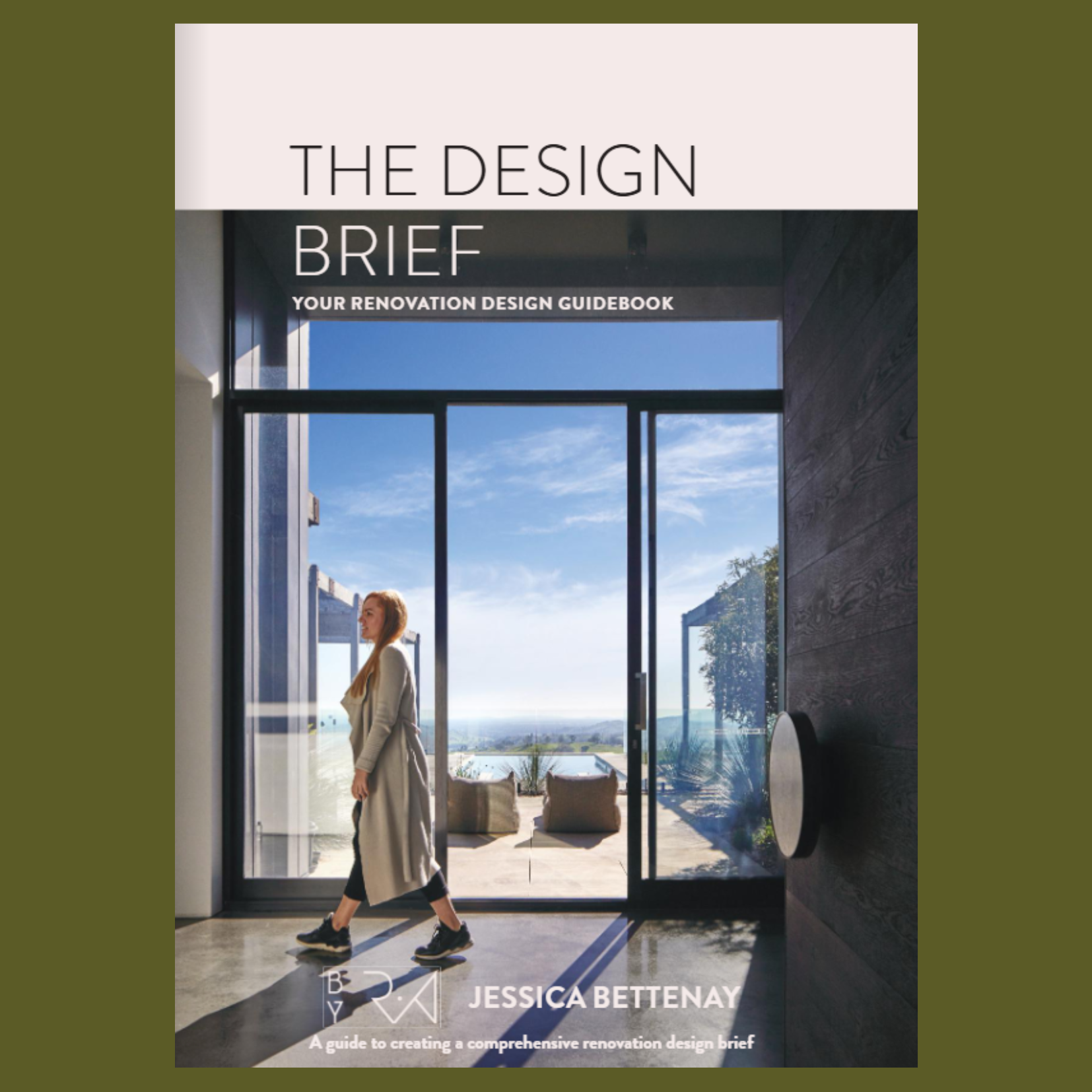 1. The Design Brief