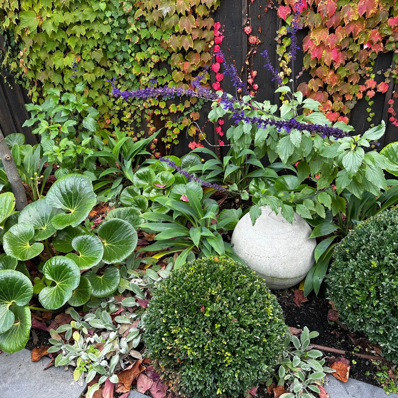 10. Landscaping Consult