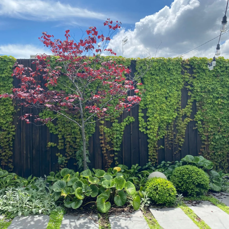 10. Landscaping Consult